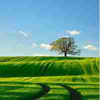 内‌存‌中﻿已‌缓‍存﻿什‌么﻿意‍思‌呀‌